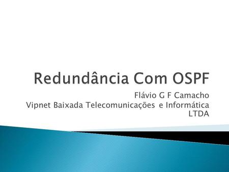Flávio G F Camacho Vipnet Baixada Telecomunicações e Informática LTDA