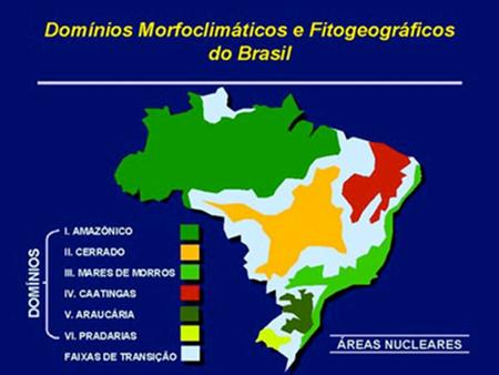 DOMÍNIOS MORFOCLIMÁTICOS DO BRASIL