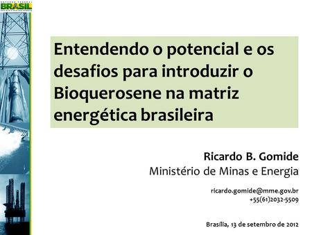 Ricardo B. Gomide Ministério de Minas e Energia  +55(61)