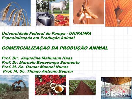 Universidade Federal do Pampa - UNIPAMPA Especialização em Produção Animal COMERCIALIZAÇÃO DA PRODUÇÃO ANIMAL Prof. Dra. Jaqueline Mallmann Haas Prof.