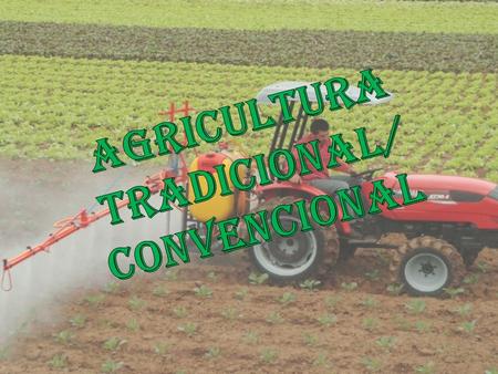 Agricultura Tradicional/ convencional