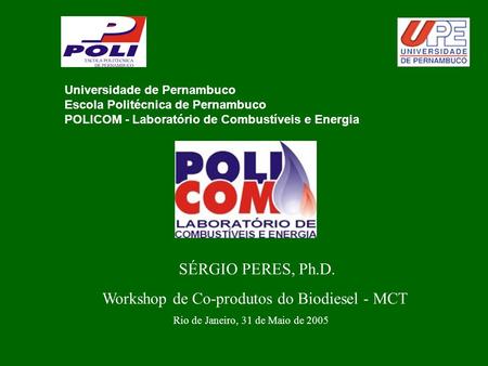 Workshop de Co-produtos do Biodiesel - MCT