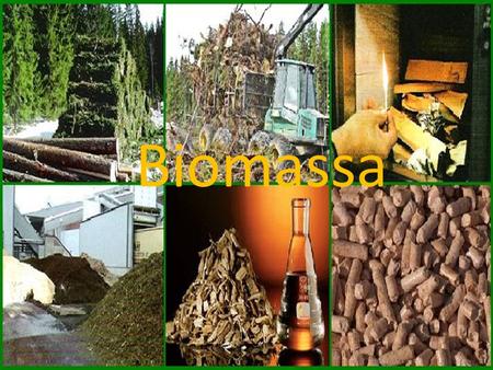 Biomassa.