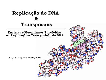 Replicação do DNA & Transposons