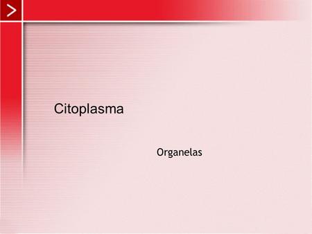 Citoplasma Organelas.