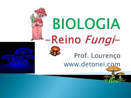 BIOLOGIA -Reino Fungi-