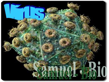 Vírus Samuel - Bio.