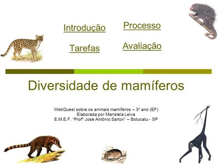 Diversidade de mamíferos