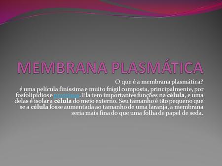 MEMBRANA PLASMÁTICA O que é a membrana plasmática?