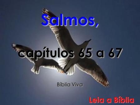 Salmos, capítulos 65 a 67 Bíblia Viva Leia a Bíblia.