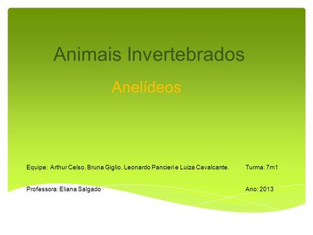Animais Invertebrados