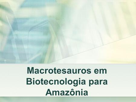 Macrotesauros em Biotecnologia para Amazônia. Caracterização do Problema Crescimento da oferta de informação Sistemas de organização do conhecimento Promovam.
