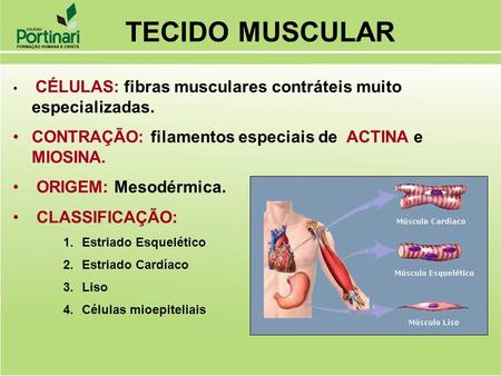 TECIDO MUSCULAR CONTRAÇÃO: filamentos especiais de ACTINA e MIOSINA.