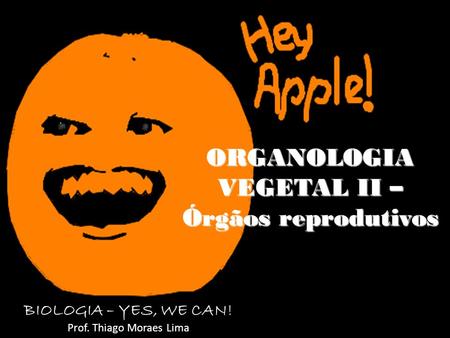 ORGANOLOGIA VEGETAL II – Órgãos reprodutivos