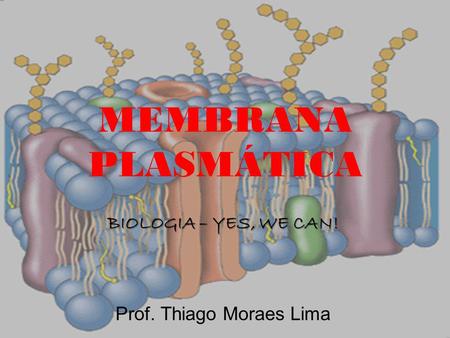 BIOLOGIA – YES, WE CAN! Prof. Thiago Moraes Lima