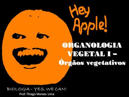 ORGANOLOGIA VEGETAL I – Órgãos vegetativos