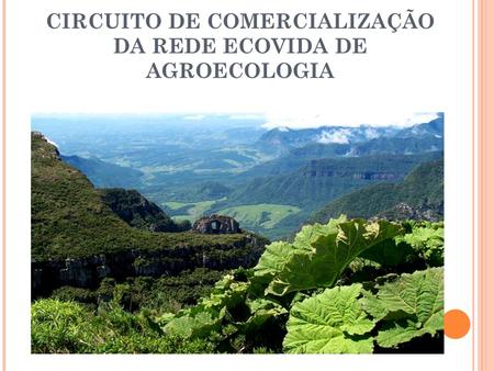 CIRCUITO DE COMERCIALIZAÇÃO DA REDE ECOVIDA DE AGROECOLOGIA.