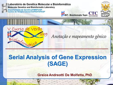 Serial Analysis of Gene Expression (SAGE)