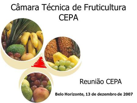 Câmara Técnica de Fruticultura CEPA