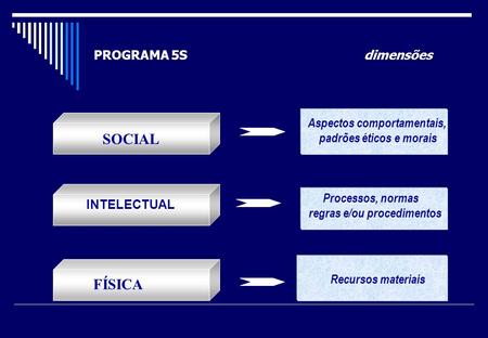 SOCIAL FÍSICA PROGRAMA 5S dimensões Aspectos comportamentais,