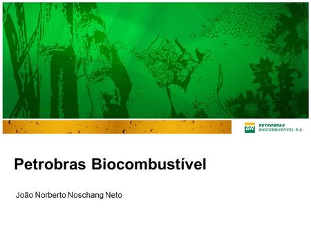 Petrobras Biocombustível