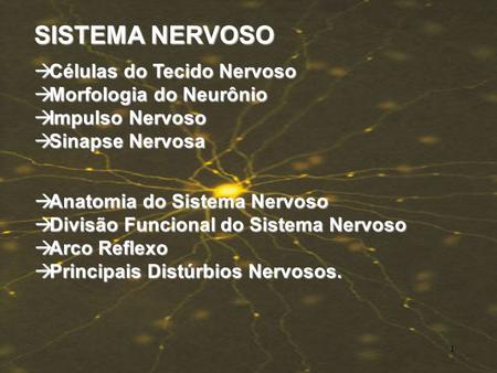 SISTEMA NERVOSO Células do Tecido Nervoso Morfologia do Neurônio