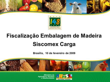 Fiscalização Embalagem de Madeira Brasília, 10 de fevereiro de 2009
