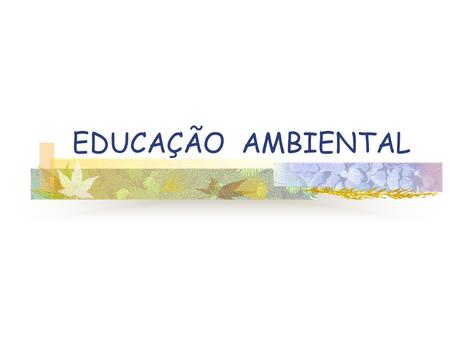 EDUCAÇÃO AMBIENTAL.
