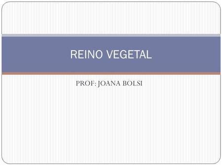 REINO VEGETAL PROF: JOANA BOLSI.
