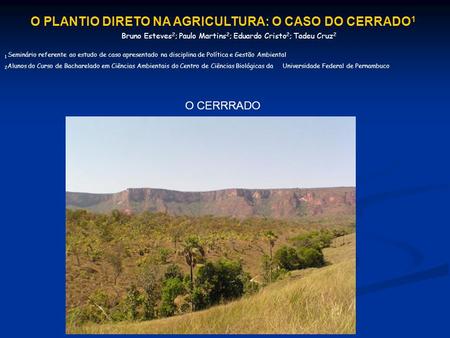O PLANTIO DIRETO NA AGRICULTURA: O CASO DO CERRADO1
