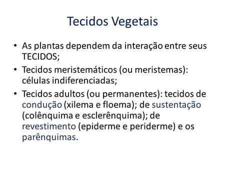 Tecidos Vegetais As plantas dependem da interação entre seus TECIDOS;