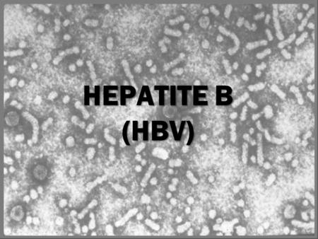 HEPATITE B (HBV) Hepatitis B Surface Antigen (HBsAg): A serologic marker on the surface of HBV. It can be detected in high levels in serum during acute.