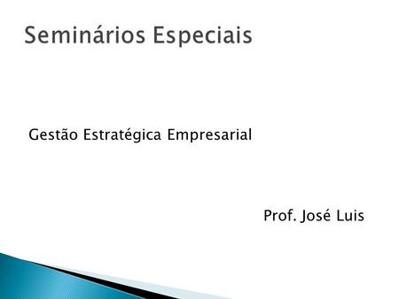 Seminários Especiais Gestão Estratégica Empresarial Prof. José Luis.