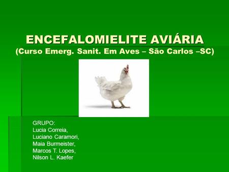 ENCEFALOMIELITE AVIÁRIA (Curso Emerg. Sanit. Em Aves – São Carlos –SC)