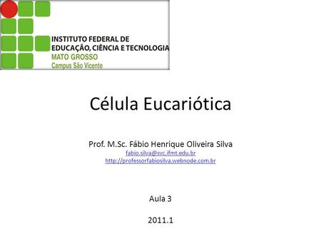 Célula Eucariótica Prof. M. Sc. Fábio Henrique Oliveira Silva fabio