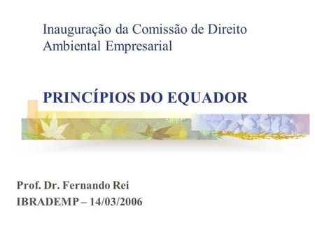 Prof. Dr. Fernando Rei IBRADEMP – 14/03/2006