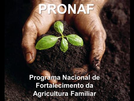 Programa Nacional de Fortalecimento da Agricultura Familiar