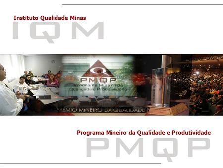 Instituto Qualidade Minas