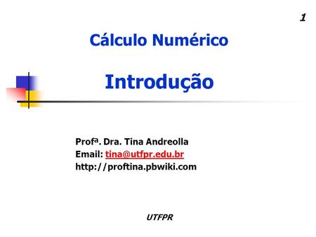 Introdução Cálculo Numérico Profª. Dra. Tina Andreolla