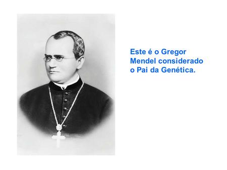 Este é o Gregor  Mendel considerado  o Pai da Genética.