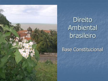 Direito Ambiental brasileiro