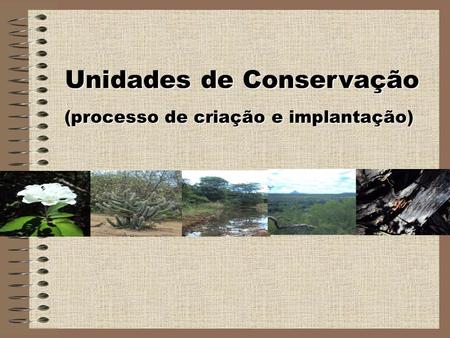 Unidades de Conservação (processo de criação e implantação)