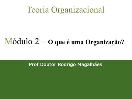 Prof Doutor Rodrigo Magalhães