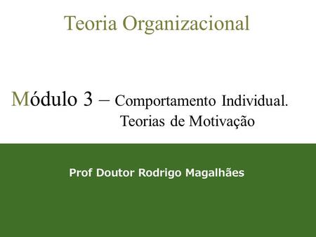 Prof Doutor Rodrigo Magalhães