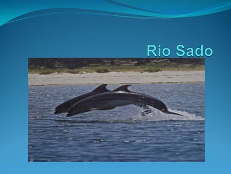 Rio Sado.