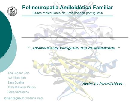 Polineuropatia Amiloidótica Familiar