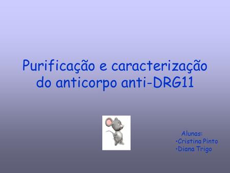 Purificação e caracterização do anticorpo anti-DRG11