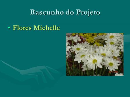 Rascunho do Projeto Flores Michelle.