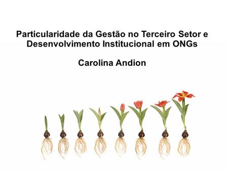 Particularidade da Gestão no Terceiro Setor e Desenvolvimento Institucional em ONGs Carolina Andion.