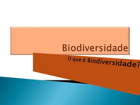 Biodiversidade O que é Biodiversidade?.